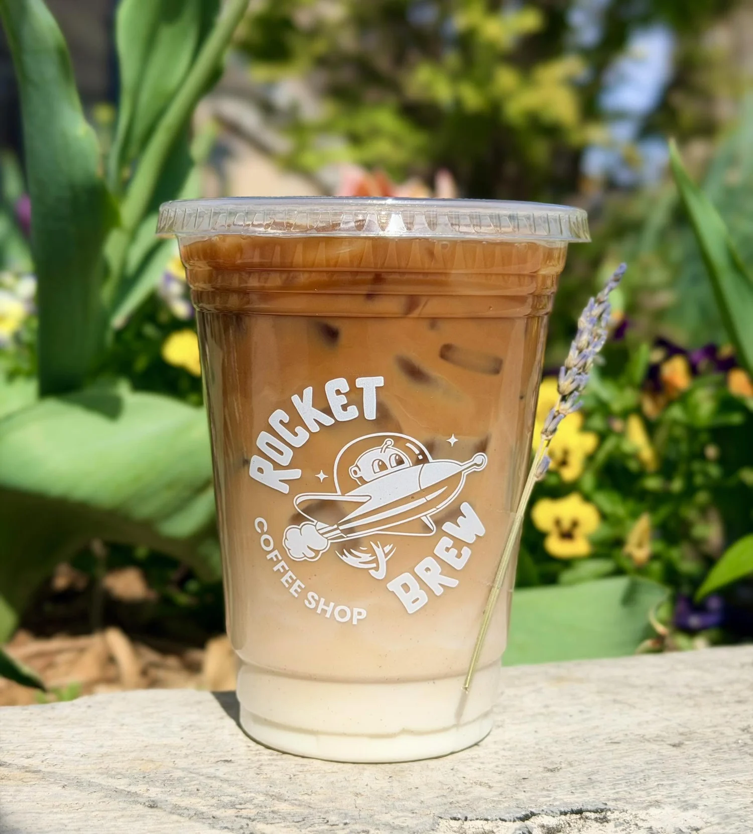 A Rocket Brew iced latte in the sunshine